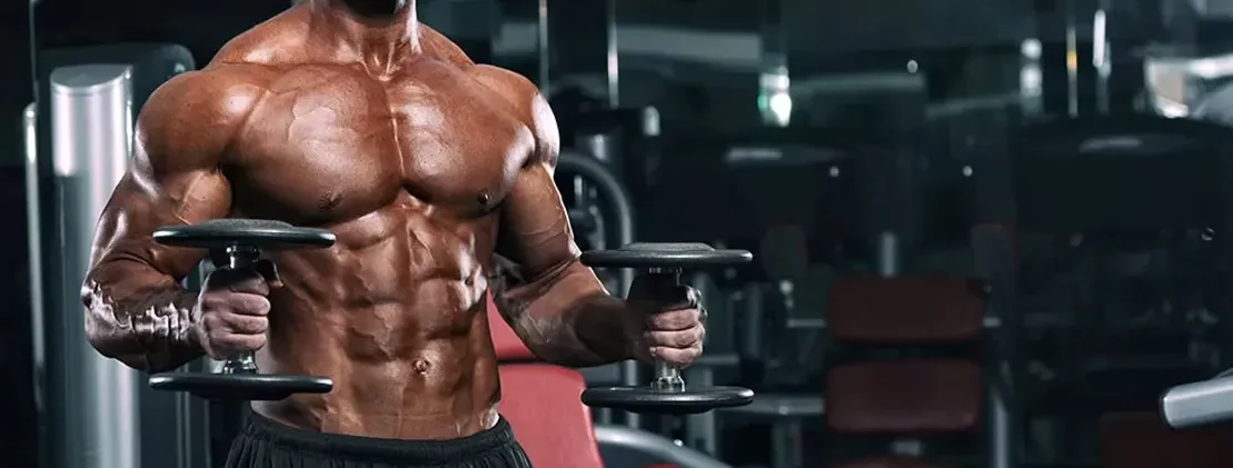 How to Build Muscle?