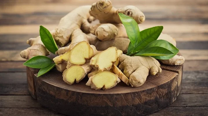 Ginger plant