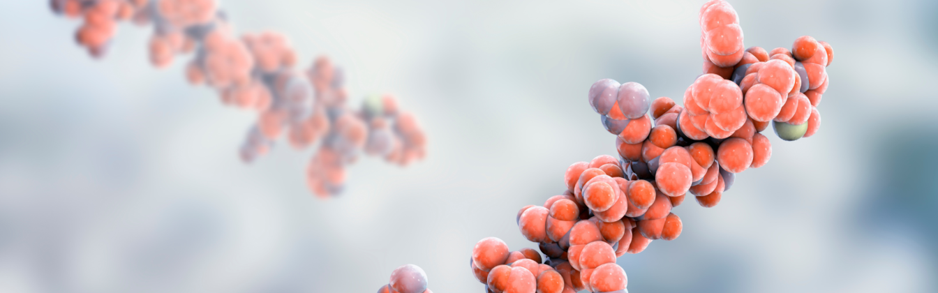 How to increase metabolism