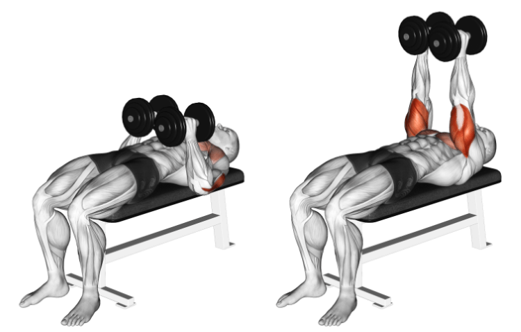 Dumbbell close grip press