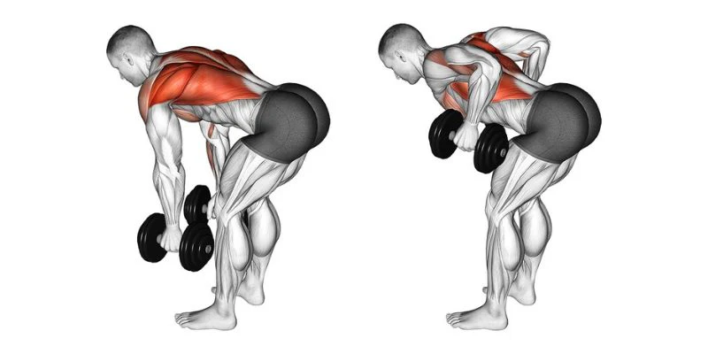 Dumbbell rows
