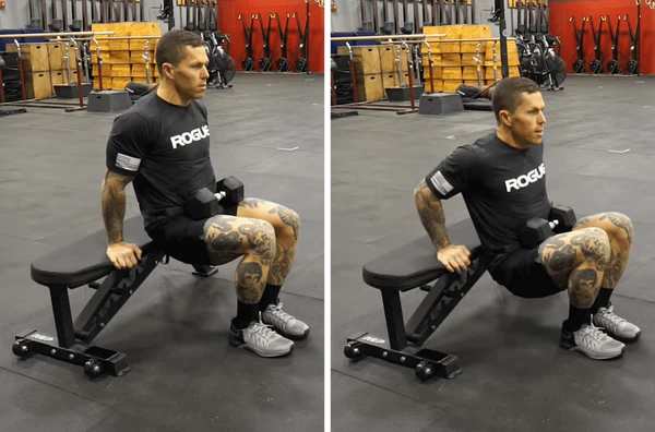 Dumbbell tricep dips