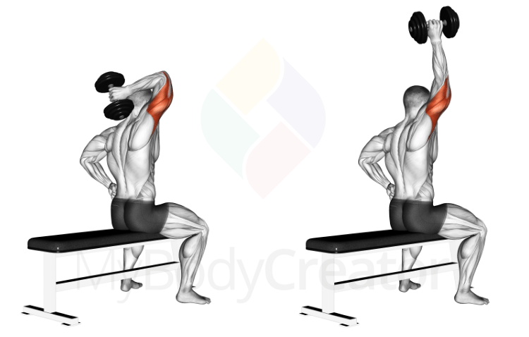 Dumbbell triceps extensions