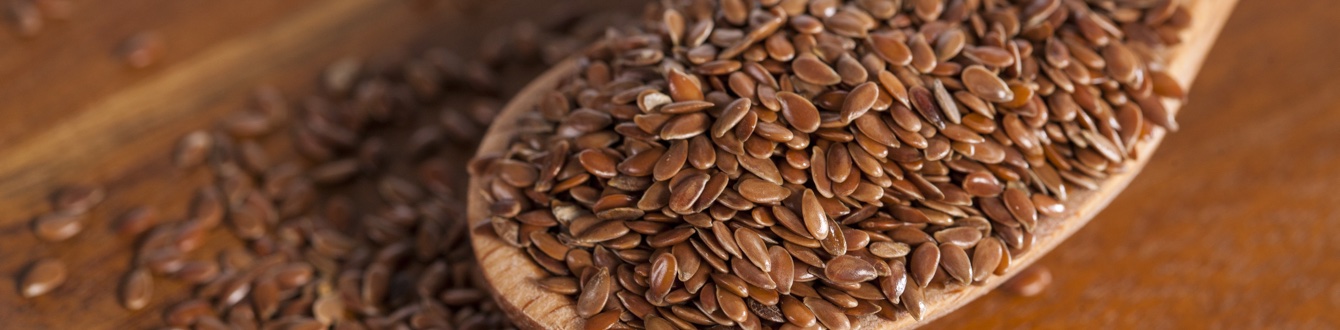Flax seeds health benefits