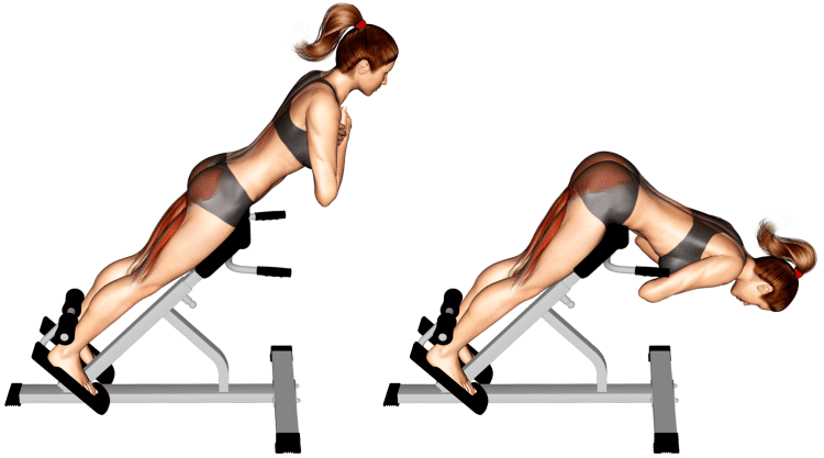 Back extensions hyperextension