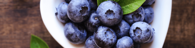 Blueberries bowl