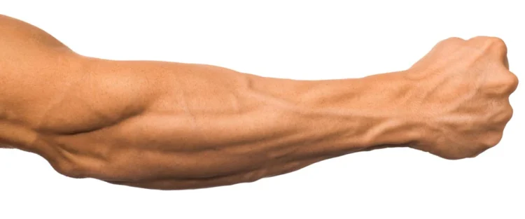Forearms workouts