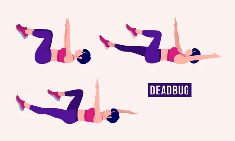 Dead bug