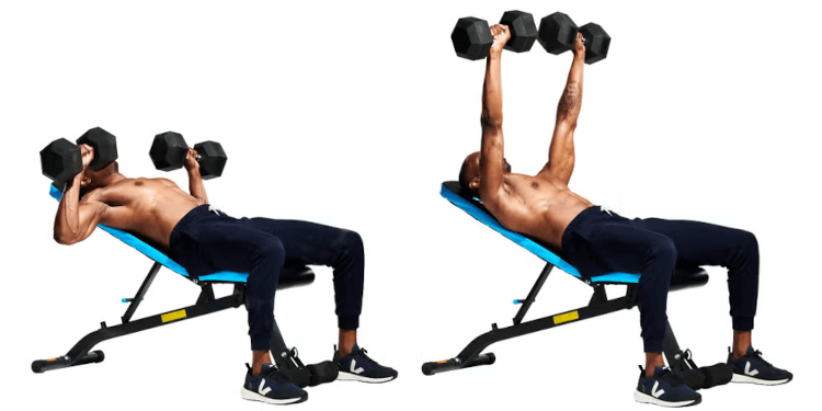 Incline dumbbell press