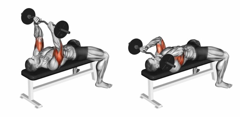 Lying triceps extension skull crushes