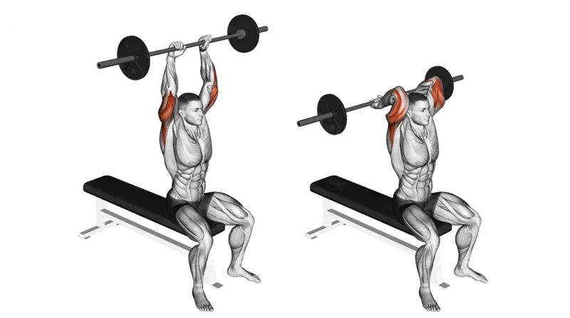 Over head triceps extension