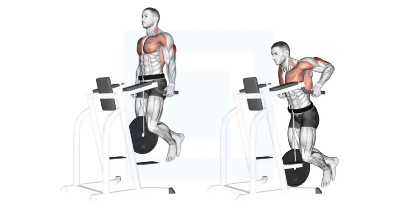 Weighted tricep dips