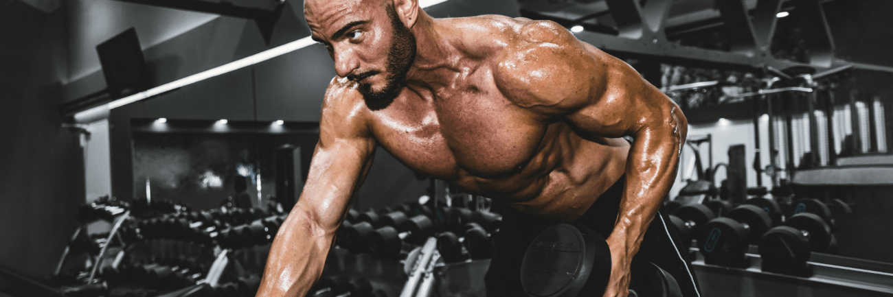 Meal plan for muscle gain