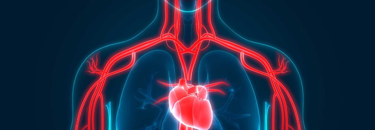 Healthy heart diet